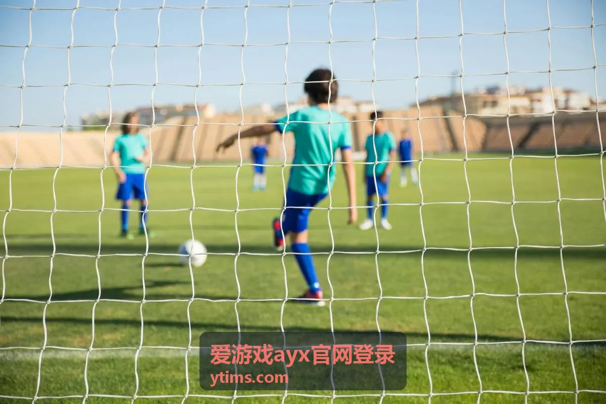 爱游戏ayx官网登录 密码强度设置说明封面